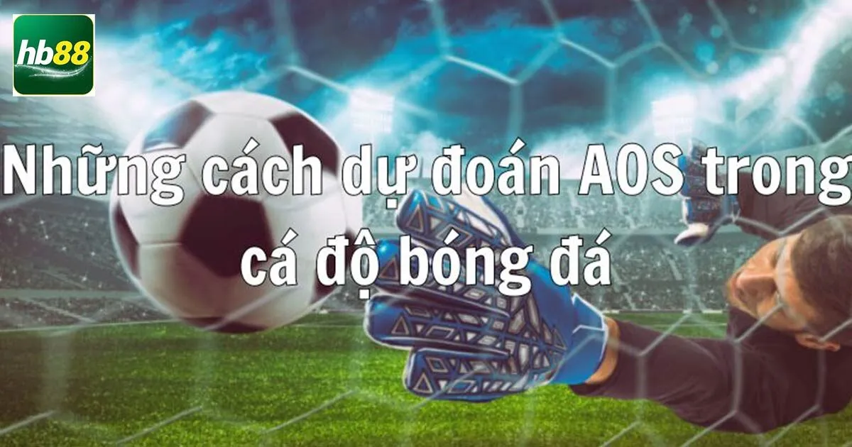 Kinh nghiệm cá cược cho người mới tham gia kèo Aos