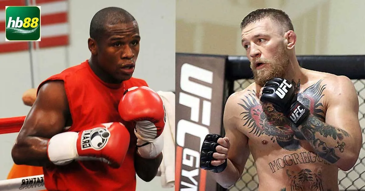 Cá cược boxing online