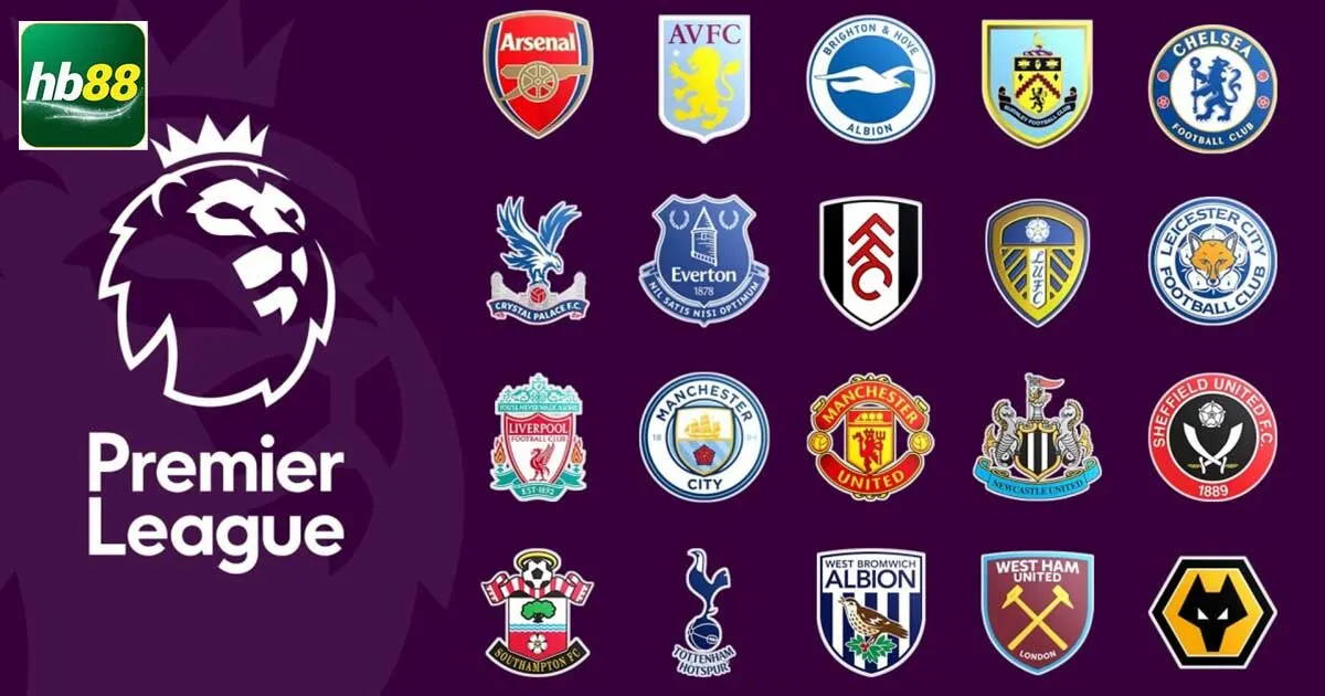 Giải Ngoại Hạng Anh Là Gì? Điều Quan Trọng Về Giải Đấu 2 Giới thiệu điều cơ bản về ngoại hạng Anh