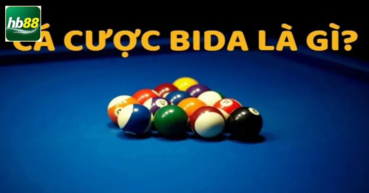 Khái niệm cá cược bida