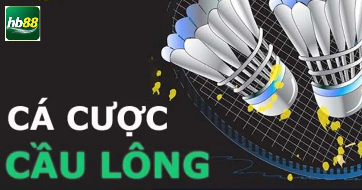 Hiểu sơ lược về cá cược cầu lông online?