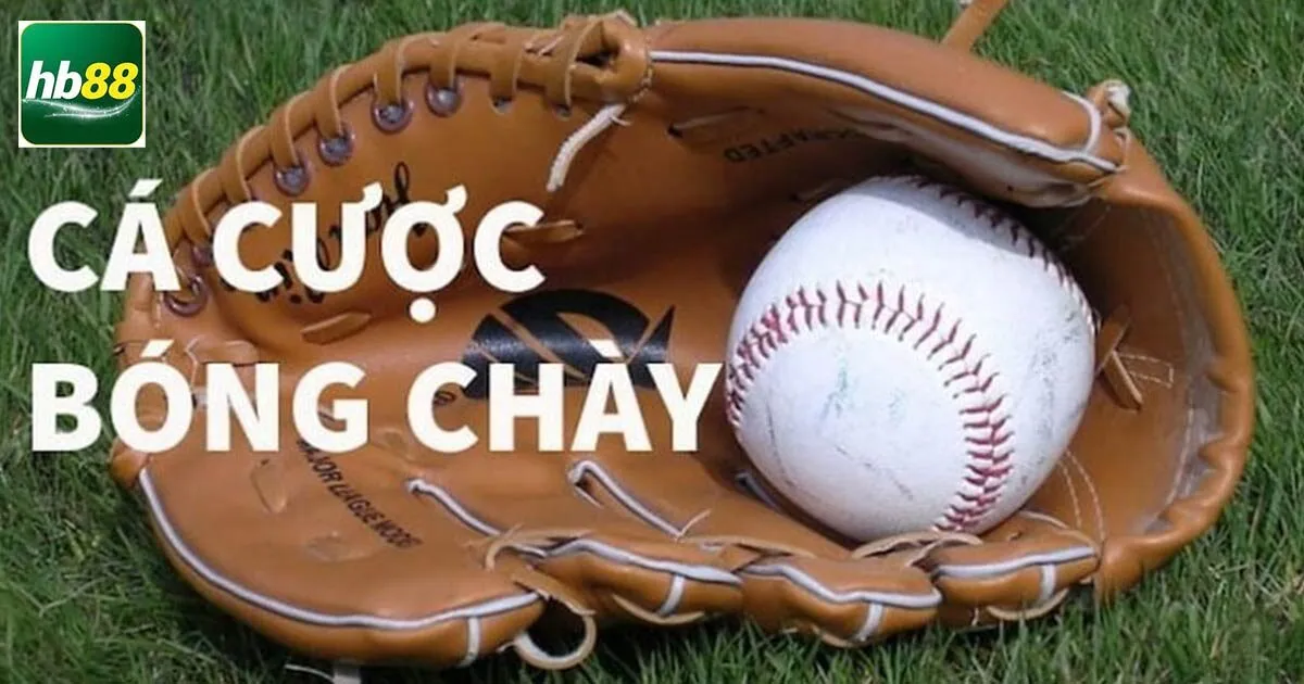 Đôi nét về bộ môn cá cược bóng chày