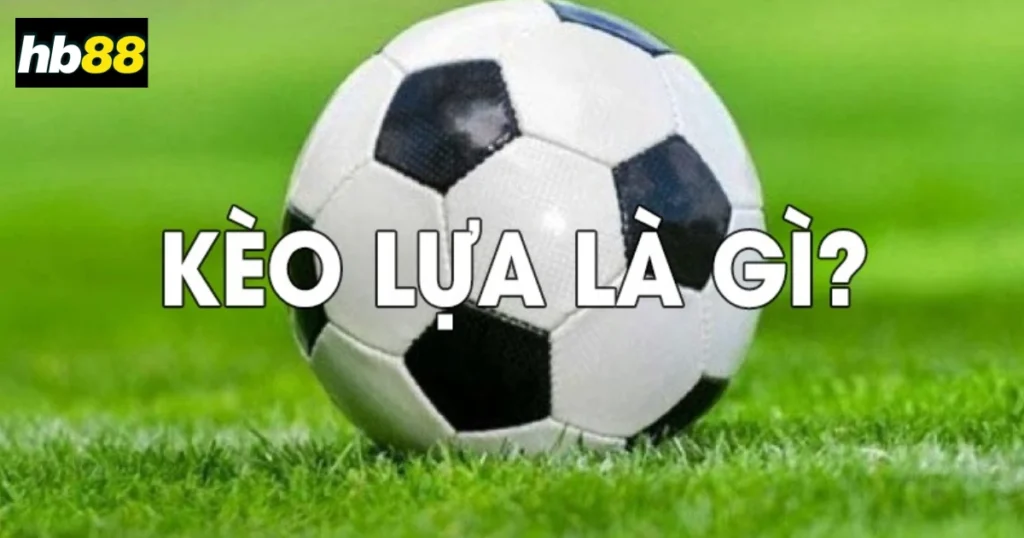 Kèo Lựa: Chiến Thuật Giúp Người Chơi Kiếm Lời Từ Bóng Đá 1 Kèo lựa trong cá cược thể thao