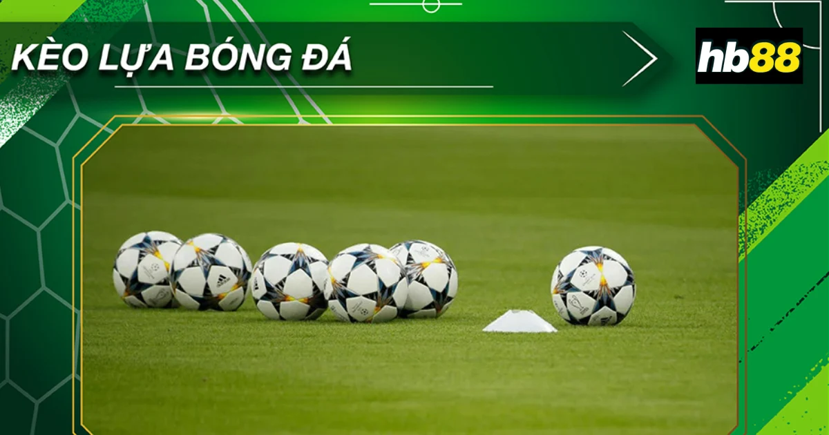 Kèo Lựa: Chiến Thuật Giúp Người Chơi Kiếm Lời Từ Bóng Đá 4 Các loại kèo lựa phổ biến
